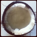 Delad kokosnöt